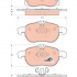 Sada brzdových destiček TRW GDB1686 - OPEL VECTRA C