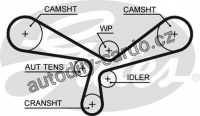 Rozvodový řemen GATES (GT 5520XS) - AUDI, VW