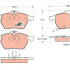 Sada brzdových destiček TRW GDB1342 - SAAB 9