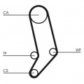 Sada rozvodového řemene s vodní pumpou CONTINENTAL CTAM CT939WP1