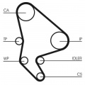 Rozvodový řemen CONTINENTAL CTAM CT1037