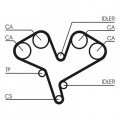 Rozvodový řemen CONTINENTAL CTAM CT884