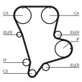 Rozvodový řemen CONTINENTAL CTAM CT994