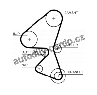 Rozvodový řemen GATES (GT 5656XS) - CITROËN, FORD, PEUGEOT