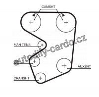 Rozvodový řemen GATES (GT 5013) - FIAT