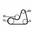 Sada drážkového řemene CONTINENTAL CTAM 6PK1138D2