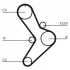 Rozvodový řemen CONTINENTAL CTAM CT731