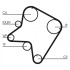 Rozvodový řemen CONTINENTAL CTAM CT762