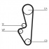 Rozvodový řemen CONTINENTAL CTAM CT798