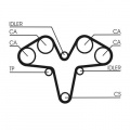 Rozvodový řemen CONTINENTAL CTAM CT1119