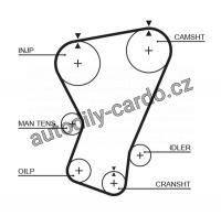 Rozvodový řemen GATES (GT 5065) - FIAT