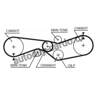 Rozvodový řemen GATES (GT 5012) - CITROËN