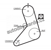 Rozvodový řemen GATES (GT 5079) - FIAT, LANCIA