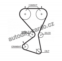 Rozvodový řemen GATES (GT 5556XS) - HYUNDAI