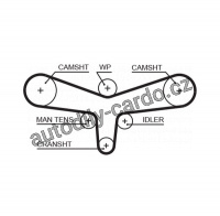 Rozvodový řemen GATES (GT 5557XS) - AUDI