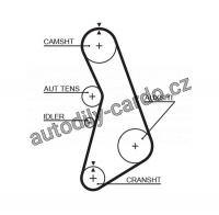 Rozvodový řemen GATES (GT 5425XS) - AUDI, VW