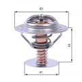 Termostat GATES (GT TH43080)