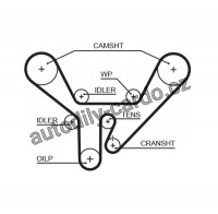 Rozvodový řemen GATES (GT 5518XS) - AUDI