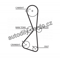 Rozvodový řemen GATES (GT 5609XS) - MITSUBISHI