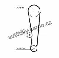 Rozvodový řemen GATES (GT 5568XS) - HYUNDAI