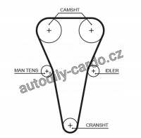 Rozvodový řemen GATES (GT 5567XS) - KIA