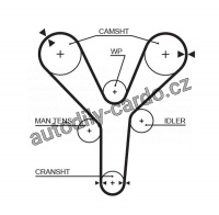 Rozvodový řemen GATES (GT 5377XS) - ISUZU