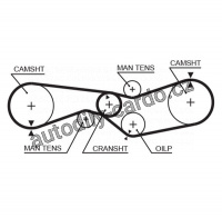 Rozvodový řemen GATES (GT 5009) - CITROËN