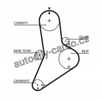 Rozvodový řemen GATES (GT 5038) - FIAT