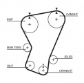 Rozvodový řemen GATES (GT 5065) - FIAT