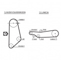 Rozvodový řemen GATES (GT 5031) - AUDI, VW