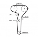 Rozvodový řemen GATES (GT 5423XS) - FIAT, LANCIA