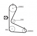 Rozvodový řemen GATES (GT 5109) - FIAT